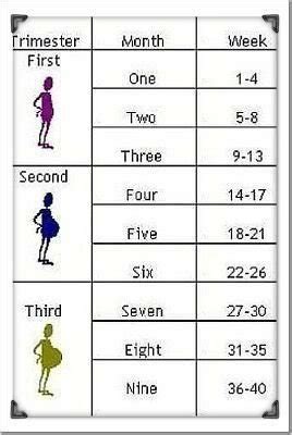 21 weeks = 5.25 months. I'm 20 weeks 5day how many months pregnant that - BabyCenter