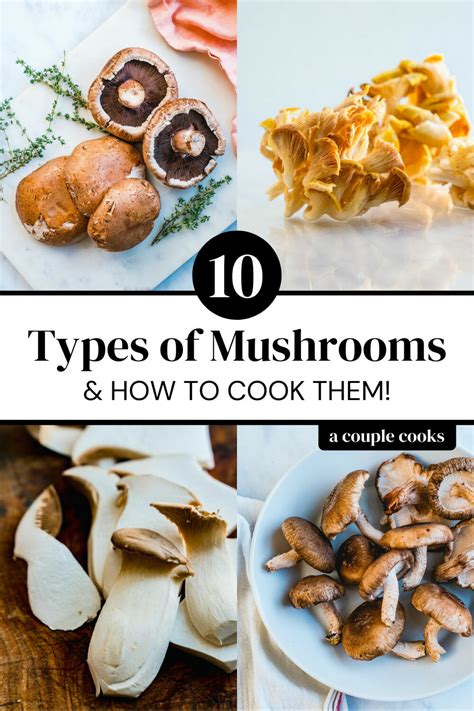 10 Types Of Mushrooms And How To Cook Them A Couple Cooks