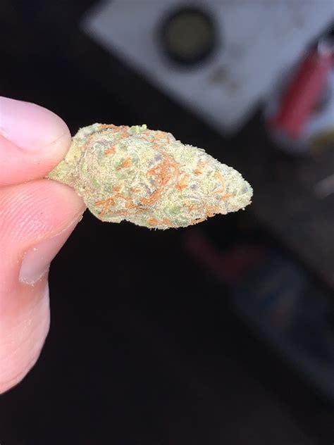 Sophie’s breath - sacred gardens - May 2020 : r/MOMpics