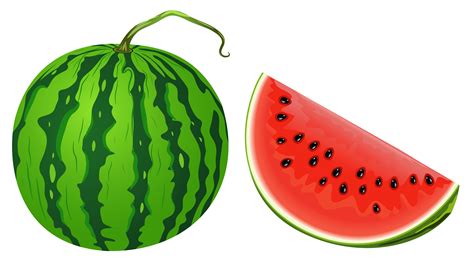 Check spelling or type a new query. Whole Watermelon Clipart | Free download on ClipArtMag