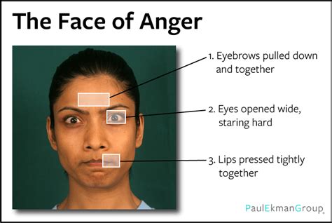 What Is Anger Feeling Anger Paul Ekman Group