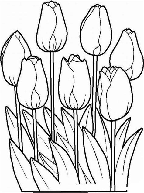 7 ausmalbilder zum ausdrucken kostenlos schmetterlinge. Ausmalbilder Tulpen - Malvorlagen Kostenlos zum Ausdrucken