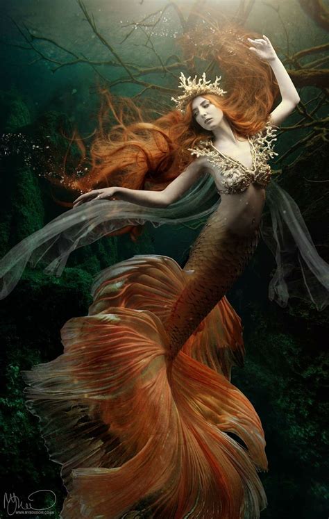 Pin Di Erin Freiboth Su Mermaid Arte Sirenetta Illustrazione Sirena Creature Mitologiche