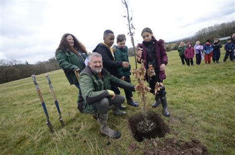 Local School Children Plant 2 Millionth Tree In The Heart Of England