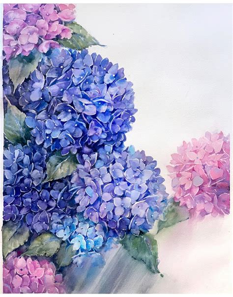 Watercolor Hydrangea On Behance