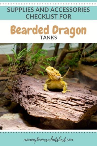 Bearded Dragon Supplies And Accessories Checklist