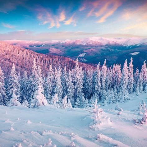 'Fantastic Winter Sunrise in Carpathian Mountains with Snow Cowered ...