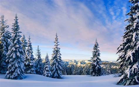 Hd Nature Landscapes Mountains Hills Trees Forests Winter