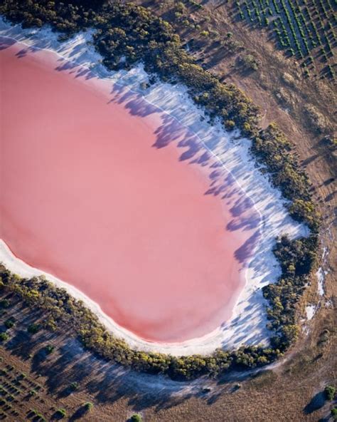 Heres The Real Reason Why Australia Has Bubblegum Pink Lakes Pink