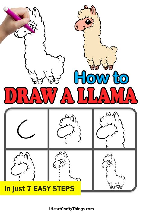 Llama Drawing How To Draw A Llama Step By Step