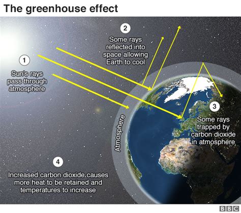 What Is Climate Change A Really Simple Guide Bbc News