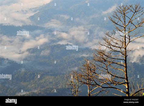 View Of The Meratus Mountains In South Borneo Indonesia Stock Photo