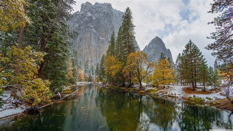 Yosemite National Park Yellow Trees Ultra Hd Desktop Background Wallpaper For 4k Uhd Tv