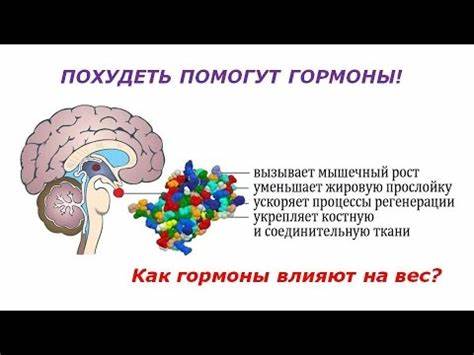Какой гормон чтобы похудеть