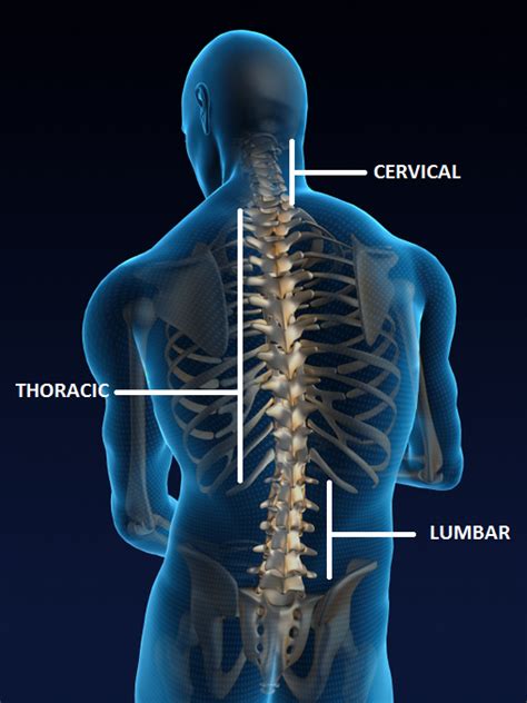 Spine And Joint Kuching Mri Of Monterey Spine And Joint These Spinal