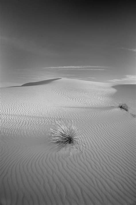 White Sands Photograph By Peter Tellone Pixels