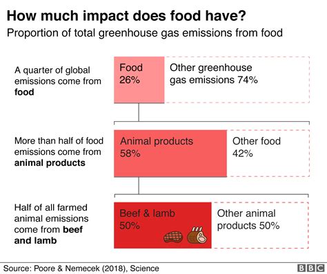 Plant Based Diet Can Fight Climate Change Un Bbc News