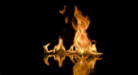 Fire The Flame Firefox · Free photo on Pixabay