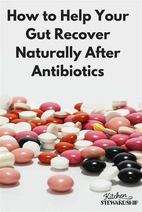 Natural Ways To Recover From Antibiotics