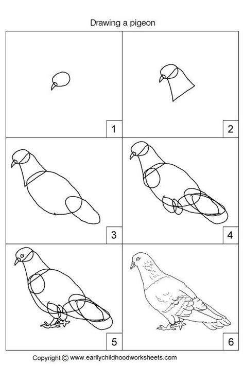 Drawing A Pigeon Bird Drawings Pigeon Drawing Lessons For Kids