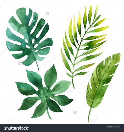 Plant Leaf Drawing at GetDrawings | Free download