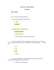 Mutations worksheet answer key as a derivative of big ideas solution questions. lab report answer - Virtual Lab Punnett Squares Worksheet ...