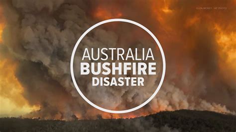 australia bushfire disaster how to choose the best charities to donate to