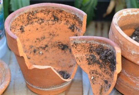 A Detailed Guide To Creating Your Own Broken Pot Fairy Garden Garden