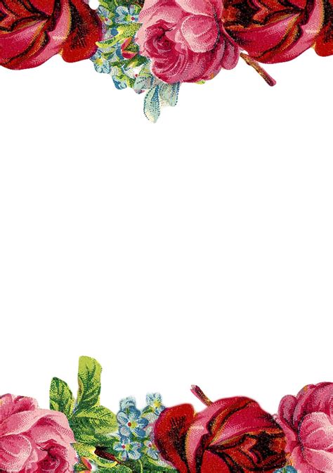 free rose borders - Clipground