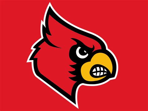 Louisville Cardinals | Louisville cardinals, University of louisville, Louisville cardinals football