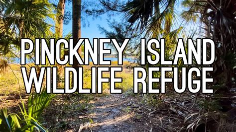 Pinckney Island National Wildlife Refuge Sc Youtube