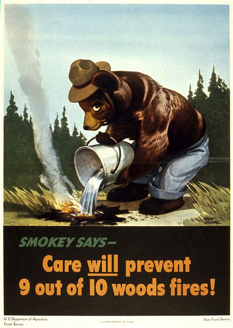Smokey Bear S Firt Fire