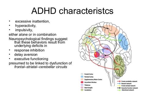 Brain Developm Adhd2