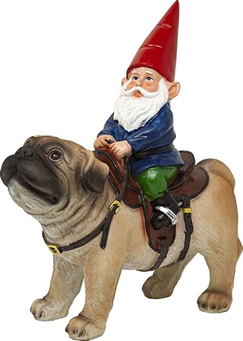 Amazon Com Funny Guy Mugs Garden Gnome Statue Gnome Riding A Pug