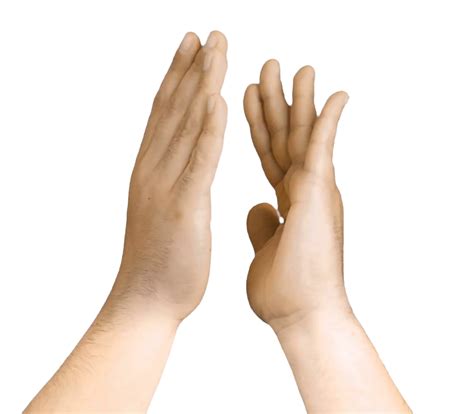 Clapping Hands Png Transparent Image Download Size 1236x1080px
