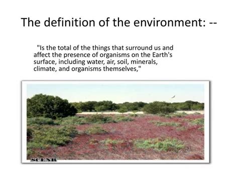 Ppt The Definition Of The Environment Powerpoint Presentation