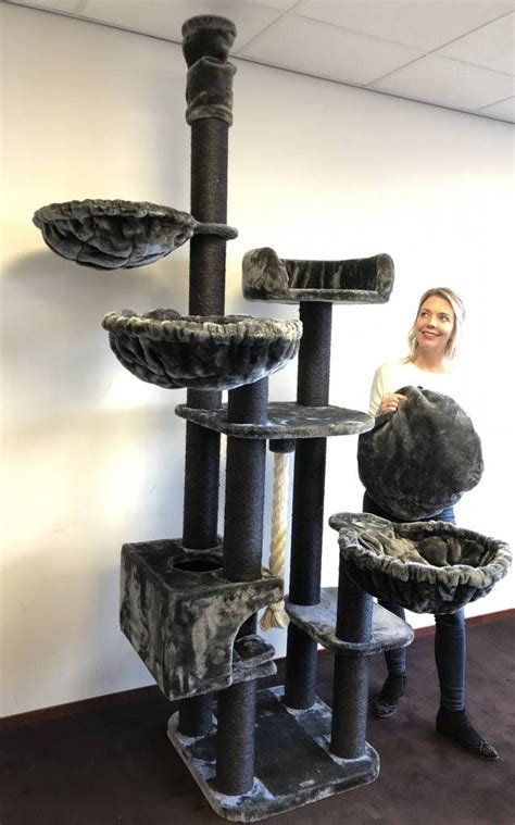 Give your cat a safe space of their own with the floor to ceiling cat tree with multiple level perches that are high enough for them to feel secure while they watch over their domain. Floor To Ceiling Cat Trees | LOWEST PRICES | FREE DELIVERY ...