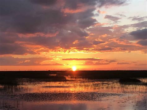3 Reasons To Tour The Everglades Cypress Airboat Tours