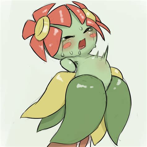 Rule If It Exists There Is Porn Of It Youjomodoki Bellossom