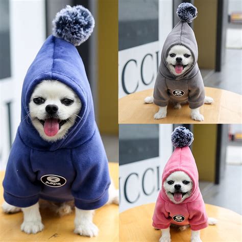 Pet Dog Hooded Sweater Winter Gold Velvet Thick Warm Two Legged Sweater