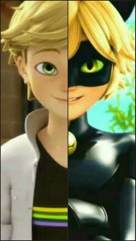 Pin By Merlin Sinboar On Chat Noir Miraculous Ladybug Memes