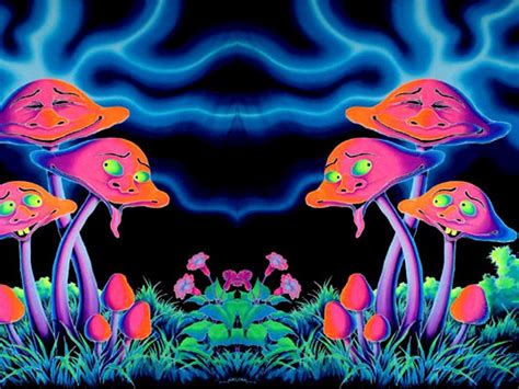 45 Trippy Mushroom Wallpaper On Wallpapersafari