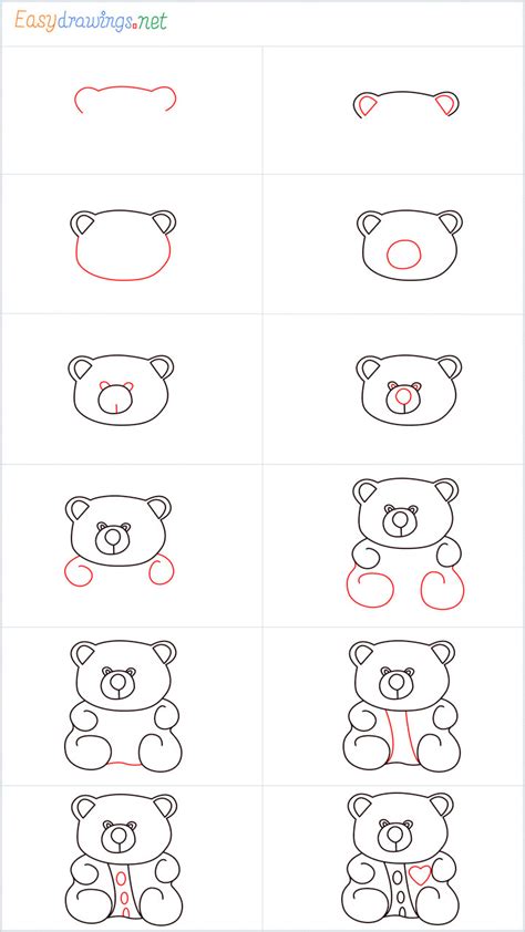 How To Draw A Teddy Bear Step By Step 7 Easy Phase And Video
