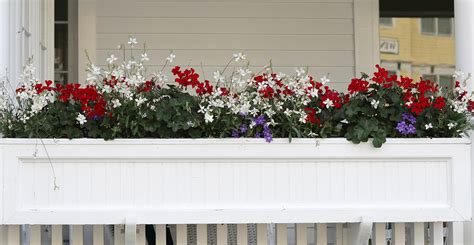 Free shipping on orders over $25 shipped by amazon. WINDOW BOX INSPIRATION IN ALL SHAPES AND SIZES | The ...