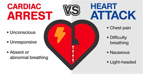 Differences Between Heart Attack And Cardiac Arrest Rapid 56 Off