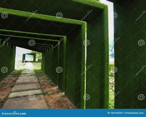 Green Tunnel And The End Of Destination Stock Image Image Of Color