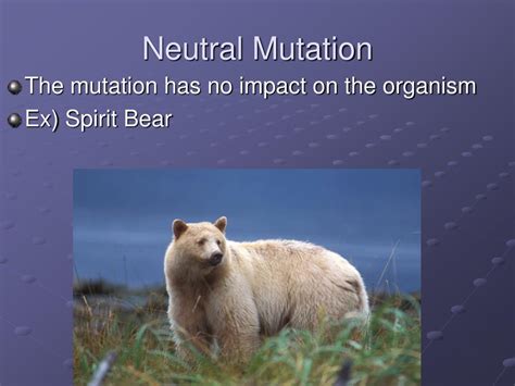 Ppt Mutations Powerpoint Presentation Free Download Id3990738