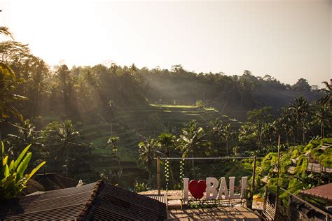 Tegalalang Rice Terrace In Ubud A Guide To Bali S Most Beautiful Rice Fields Omnivagant