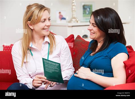 Midwife Discussing Literature With Pregnant Woman During Home Visit