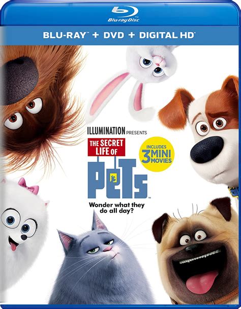 Heck Of A Bunch The Secret Life Of Pets Secretlifeofpets Review And